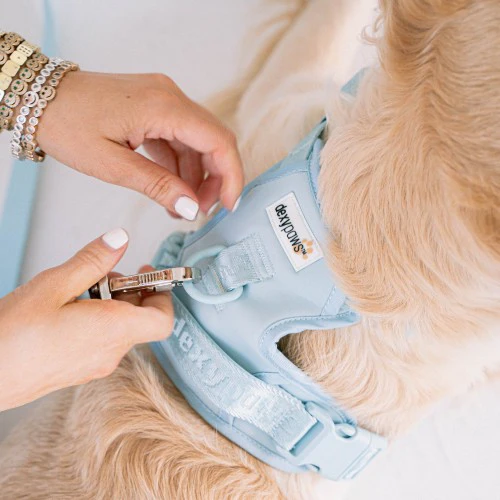 Dexypaws Harnais sans traction pour chien, Bleu ciel – Image 3