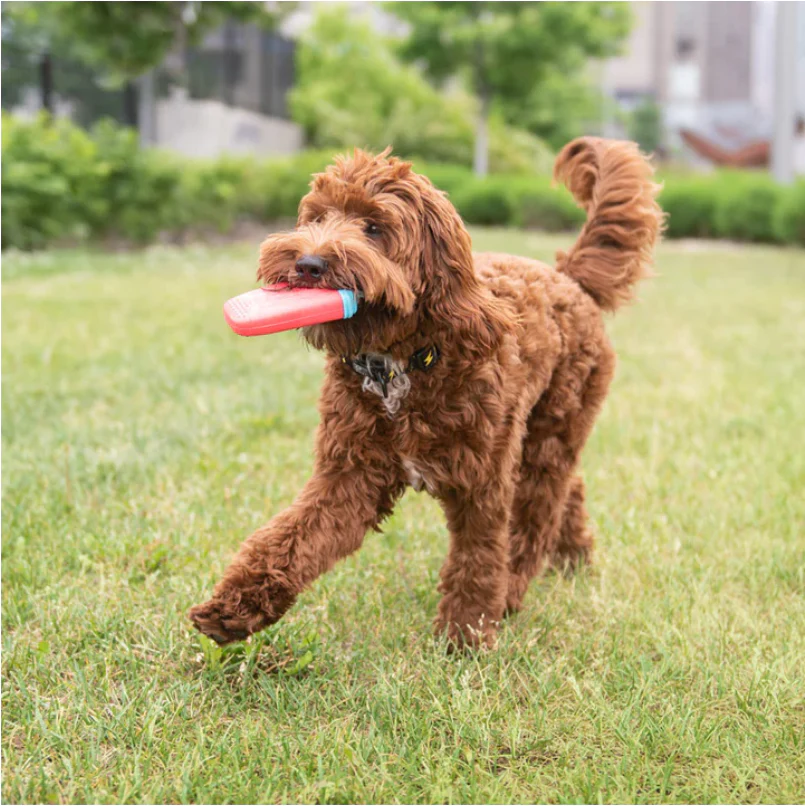 ICE TOY™ - Jouet rafraîchissant pour chien avec cône de glace | Popsicle Pastèque – Image 4