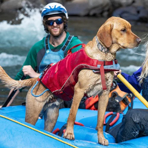 Kurgo Veste de sauvetage Surf'n'turf pour chien, Jaune – Image 6