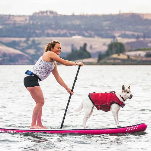 Kurgo Veste de sauvetage Surf'n'turf pour chien, Jaune – Image 7