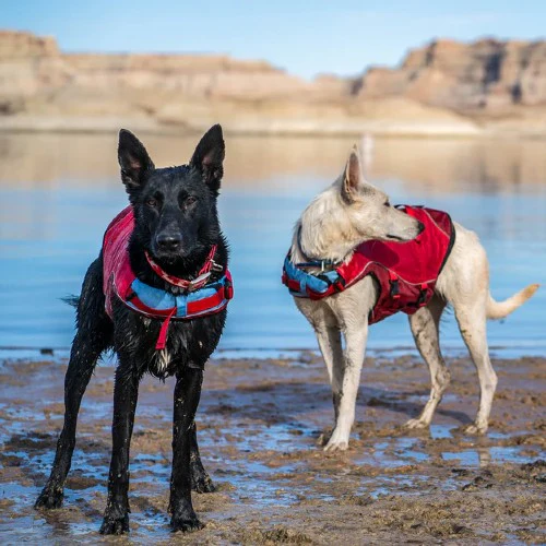 Kurgo Veste de sauvetage Surf'n'turf pour chien, Rouge – Image 5