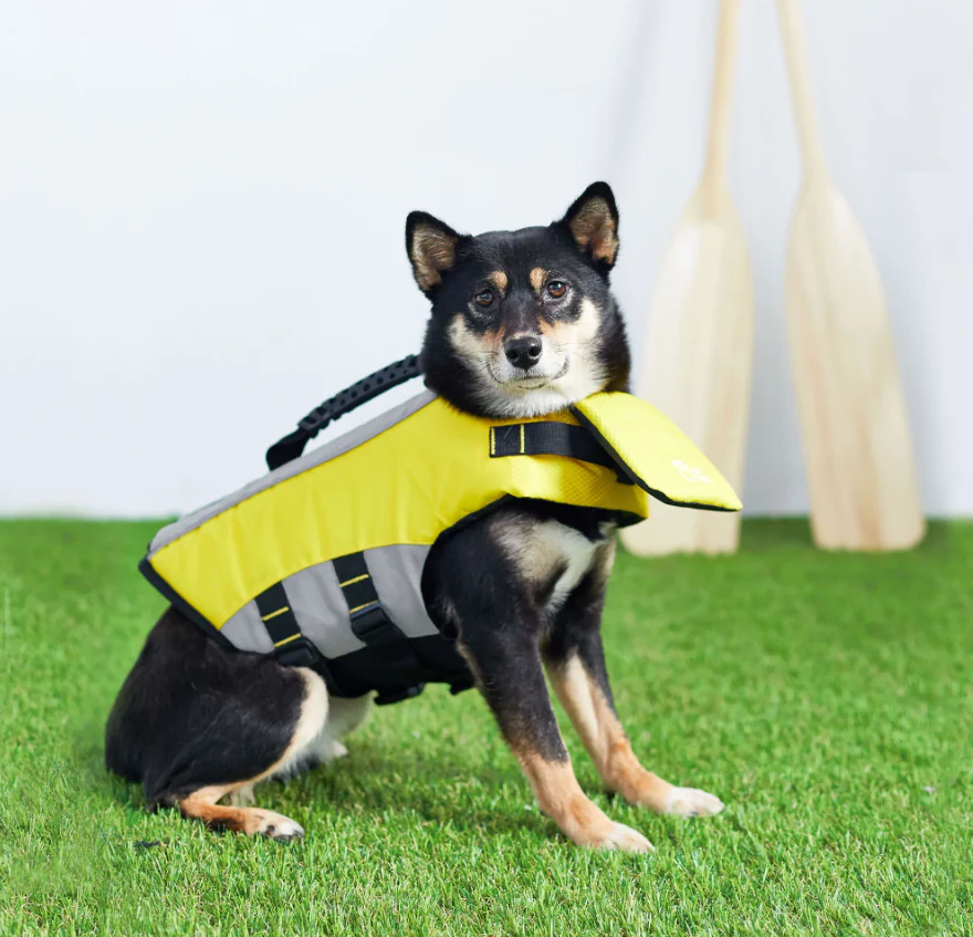 Gilet de sauvetage pour chien (S) - Life Jacket - GF Pet – Image 6