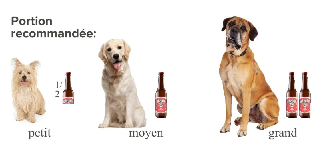 La bière pour chiens et chats Brouff, 250 ml. par bouteille – Image 5